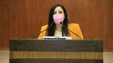 Photo of Solicita diputada informe a ASE sobre investigación contra Xico