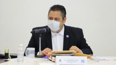 Photo of Partidos sin registro no deben acceder a regidurías: Garza de Coss