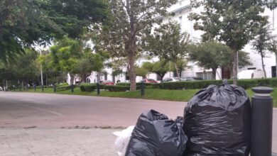 Photo of “Inundan” a Victoria 10 mil toneladas de basura