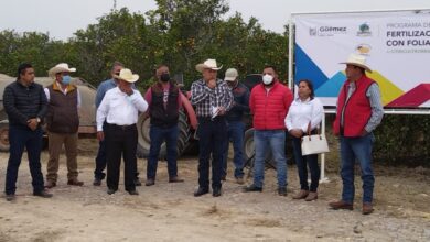 Photo of Fertilizan hectáreas de cítricos en Güémez