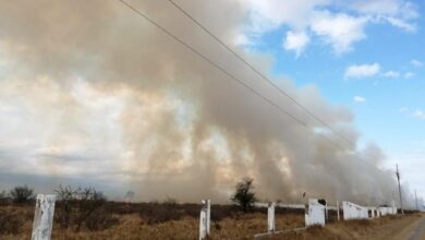 Photo of Se adelantan incendios; Güémez alerta sobre medidas de prevención