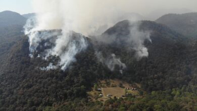 Photo of En el Cielo 440 hectáreas devastadas por el fuego