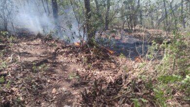 Photo of Más de cien familias afectadas con incendio forestal
