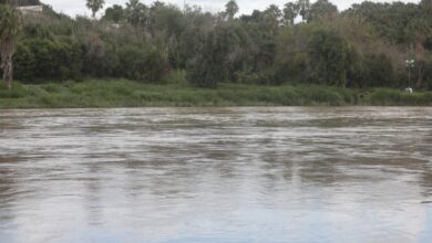 Photo of Se recuperan presas con las lluvias