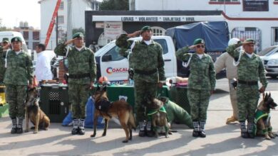 Photo of Refuerzan 200 militares vigilancia en Nuevo Laredo