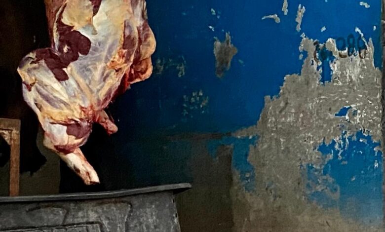 En riesgo la salud de los sanfernandeses con un rastro municipal desmantelado donde la carne se traslada en condiciones insalubres, en vehículos particulares 