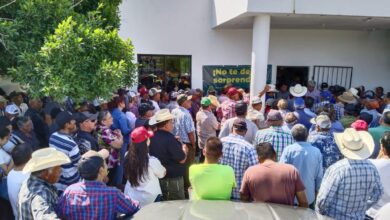 Photo of Producción para el Bienestar deja fuera a más de mil agricultores