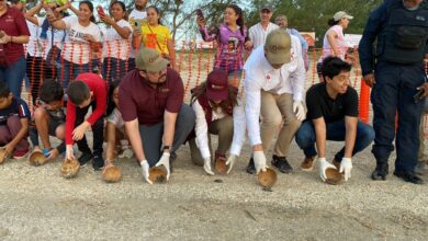 Photo of A la defensa de los huevos de tortuga
