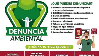 Photo of Exhorta Gobierno de Reynosa a cuidar medio ambiente