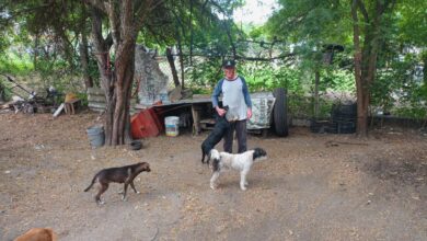 Photo of José Abel un faro de esperanza para perritos abandonados